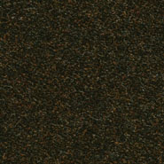 Flora 2_297  Kvadrat